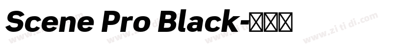 Scene Pro Black字体转换 Scene Pro Black字体转换
